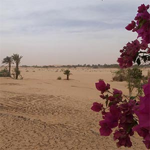 Mauritania