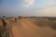 india_2015_0081.jpg