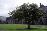 irlanda_0069.jpg