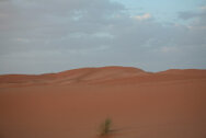 marocco_0236.jpg