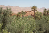 marocco_0237.jpg