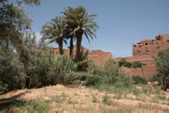 marocco_0239.jpg