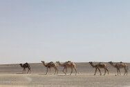 marocco_0081.jpg