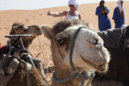 marocco_0087.jpg