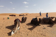 marocco_0089.jpg