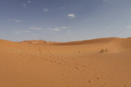 marocco_0091.jpg