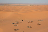 marocco_0226.jpg