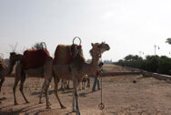 marocco_0005.jpg