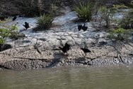 06_canyonsumidero_2090.jpg