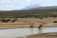 peru_0143.jpg