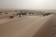 mauritania_005.jpg