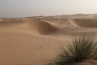 mauritania_016.jpg