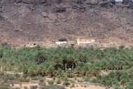 mauritania_051.jpg