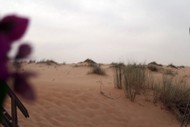 mauritania_032.jpg