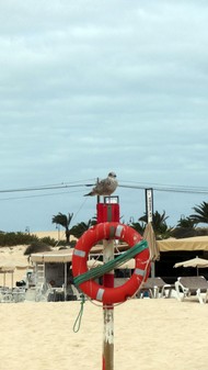Fuerteventura_35.jpg